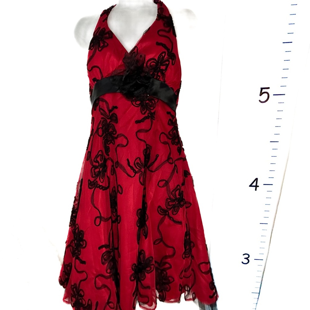 Josh & Jazz Red Black Roses Party‎ Mini Dress 9/10